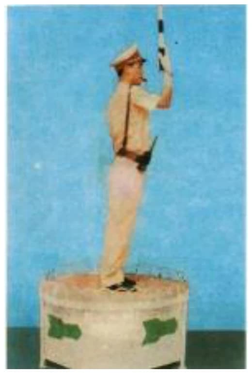 Hình minh họa câu 37