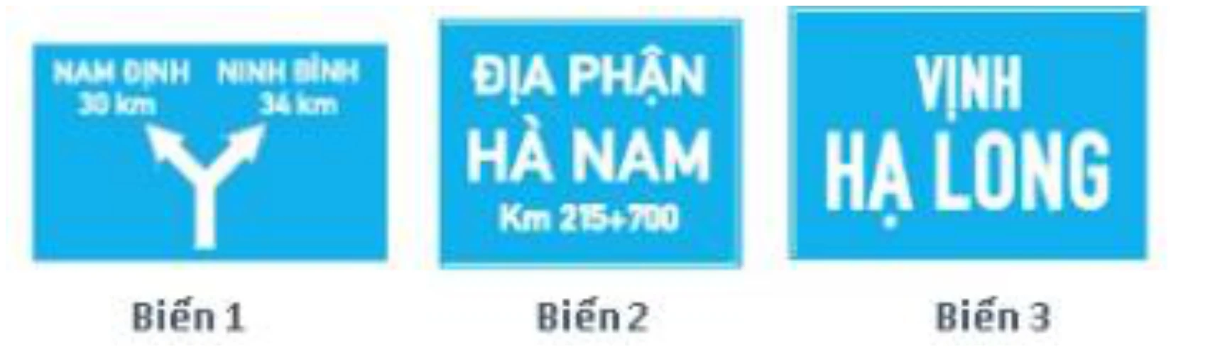 Hình minh họa câu 456
